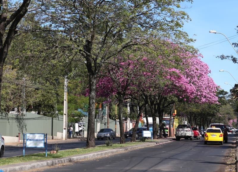 Pronostican inicio de semana cálido