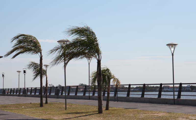 Pronostican martes con clima agradable