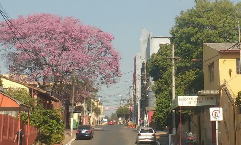 Anuncian jornada calurosa para este domingo