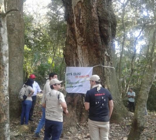 Hallan un imponente “Coloso” en Horqueta