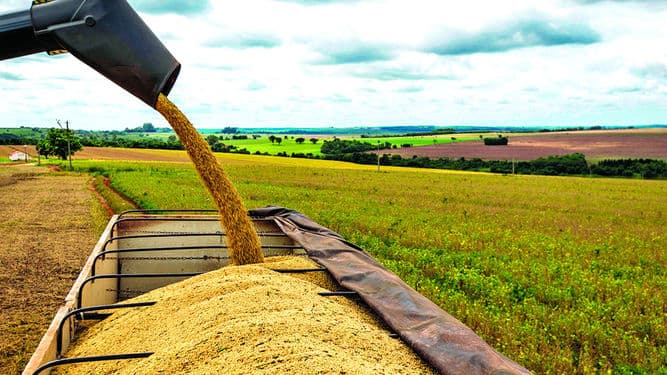 Prohíben gravar exportación de granos   