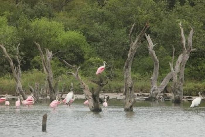 Analizarán cambios climáticos y los recursos hídricos del Chaco