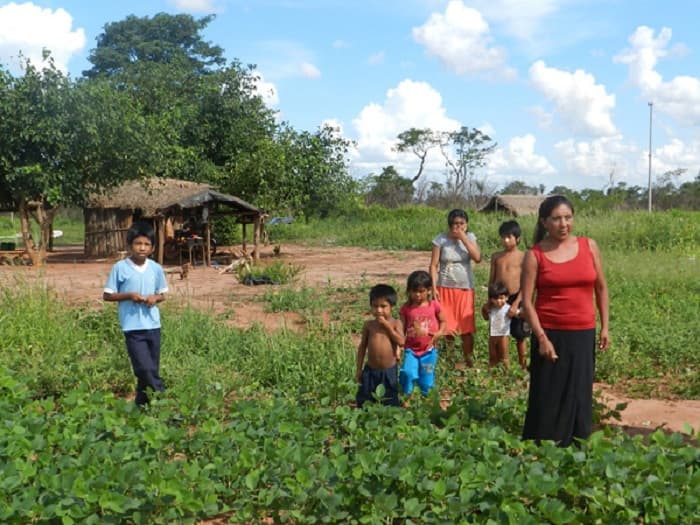 Campesinado: “No existen políticas estructurales para la lucha contra la pobreza”