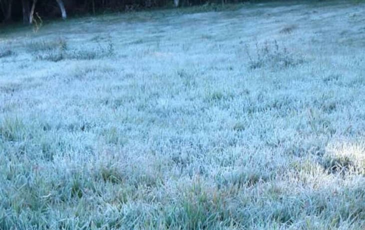 Temperatura llegó a los -3 grados