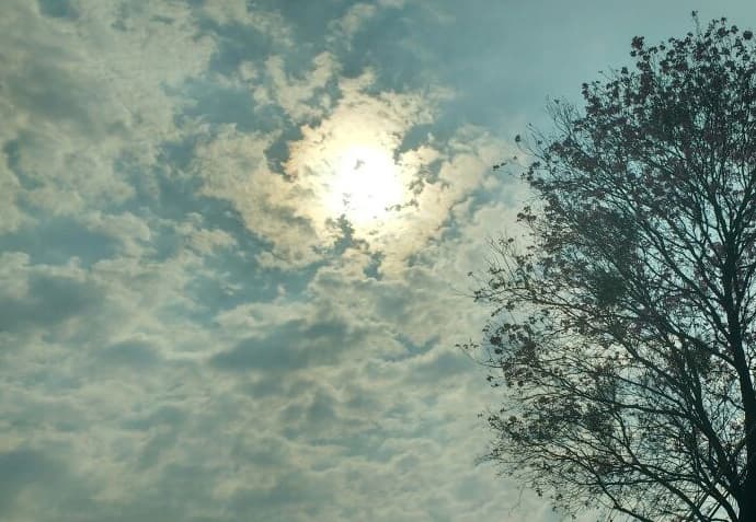 Lunes con ambiente fresco a cálido y cielo parcialmente nublado