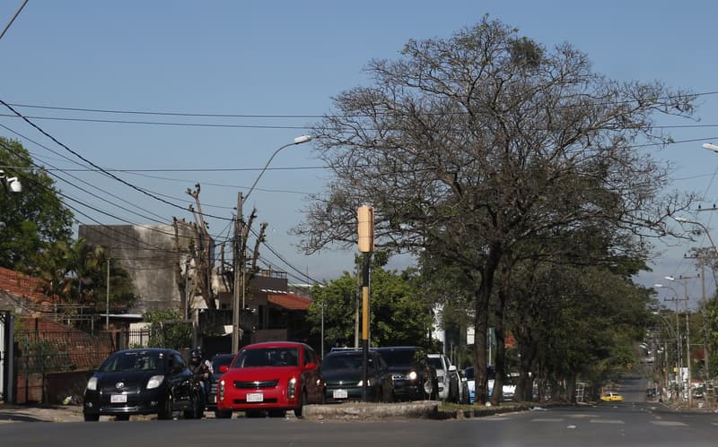 Se anuncia calor intenso para este martes
