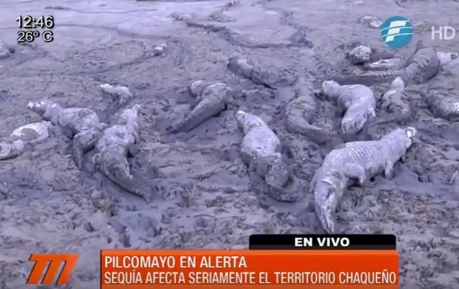 Pilcomayo vuelve a estar en alerta por sequía