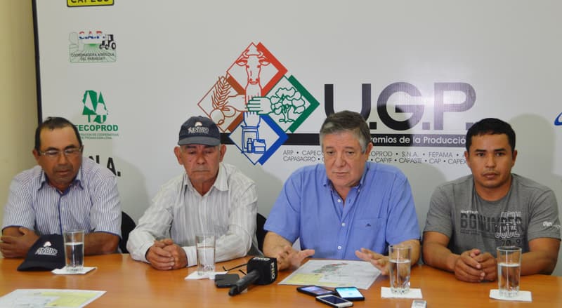 Soja: Hay casi el doble de pequeños productores