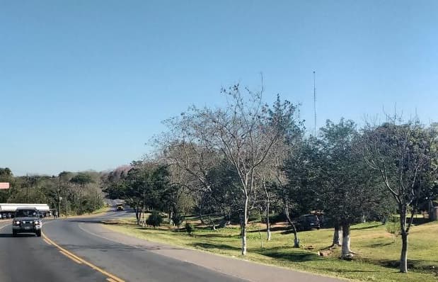 Altas temperaturas para este jueves