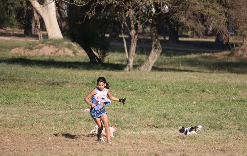 Meteorología anuncia domingo cálido
