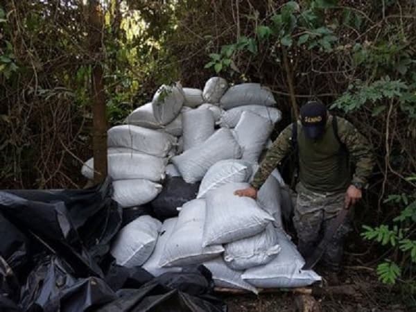 Caen 2.600 kilos de marihuana en Curuguaty