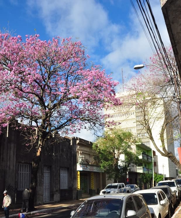 Anuncian sábado cálido a caluroso