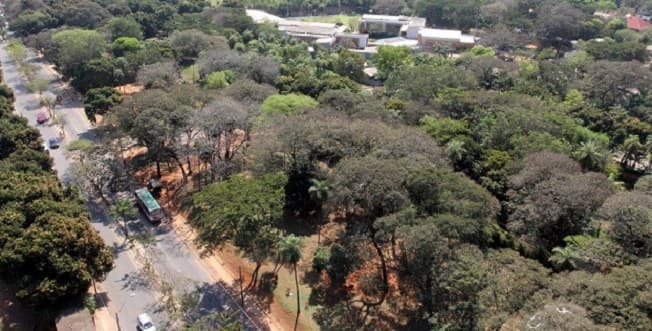 Director de medio ambiente es condenado por caso Pavetti