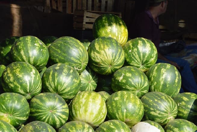 Sandías brasileñas abundan en Abasto