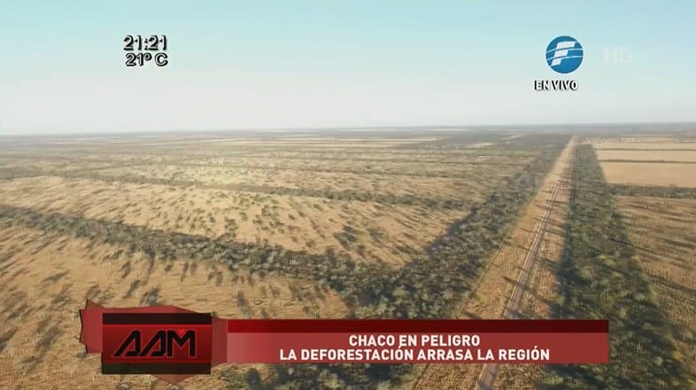 Incesante deforestación en el Chaco