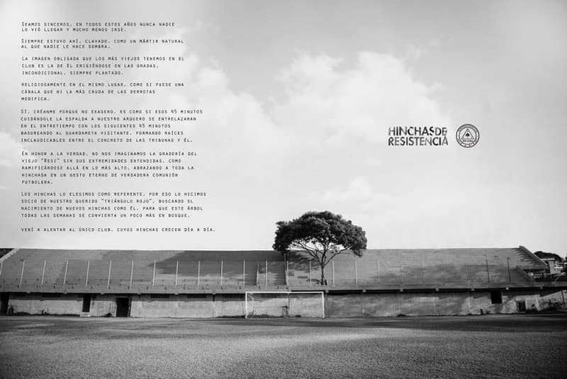 El primer árbol socio de un club está en Paraguay