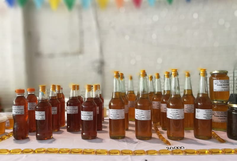 Invitan a sexta edición de feria agroecológica y artesanal en Lambaré