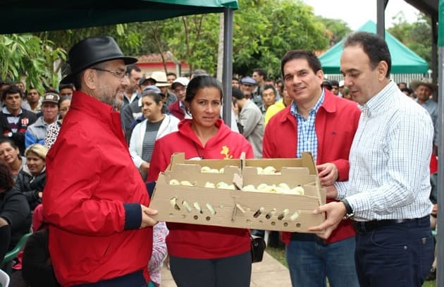 Denuncian al ministro del MAG por hacer proselitismo con pollitos