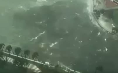 Compatriotas se encuentran bien en Florida