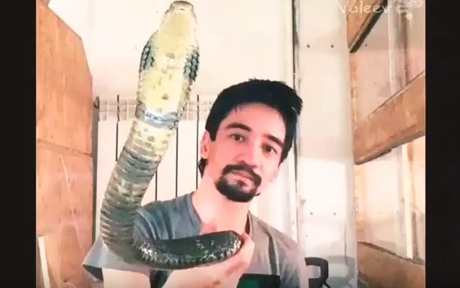 Youtuber transmite en vivo su suicidio