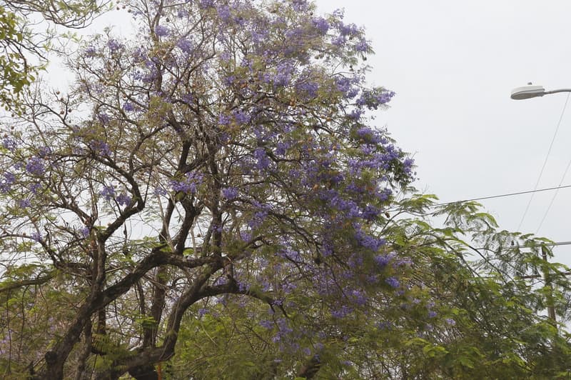 Miércoles caluroso y lluvioso