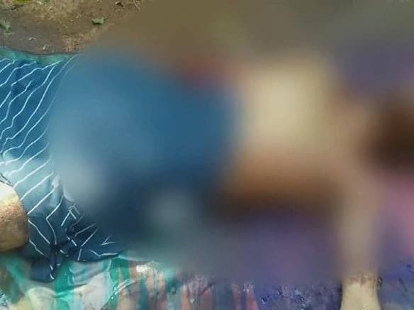 Muere hombre atacado por media docena de canes