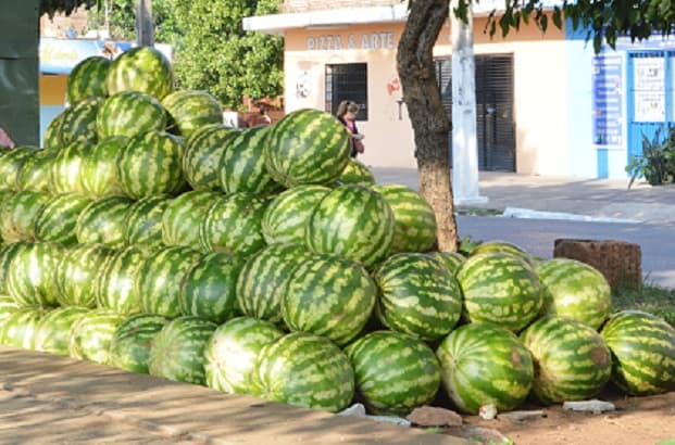 Sandías nacionales "inundan" calles y el Abasto