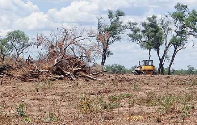 Contraloría podría intervenir decreto firmado por Cartes