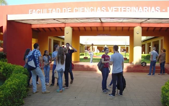 Confirman dos nuevos casos de brucelosis