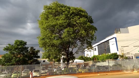 Alerta para la mayor parte del territorio nacional