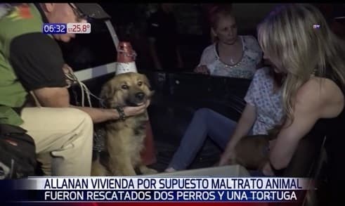 Rescatan animales luego de denuncia por maltrato