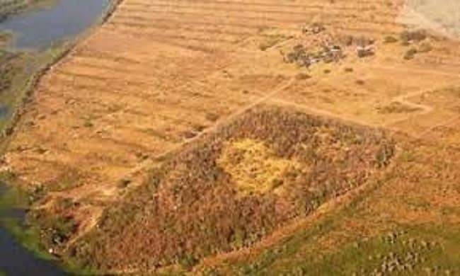 Convocan a nueva marcha contra la deforestación