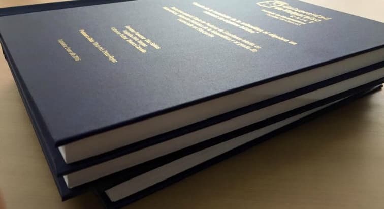 Motochorros le roban su tesis a una mujer