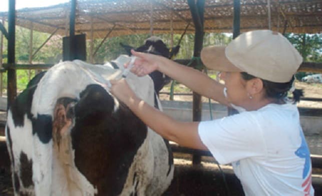 Alumnos de la UNA se contagian de brucelosis