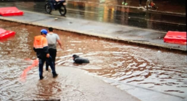 Motociclista cae en zona de trabajos del metrobús