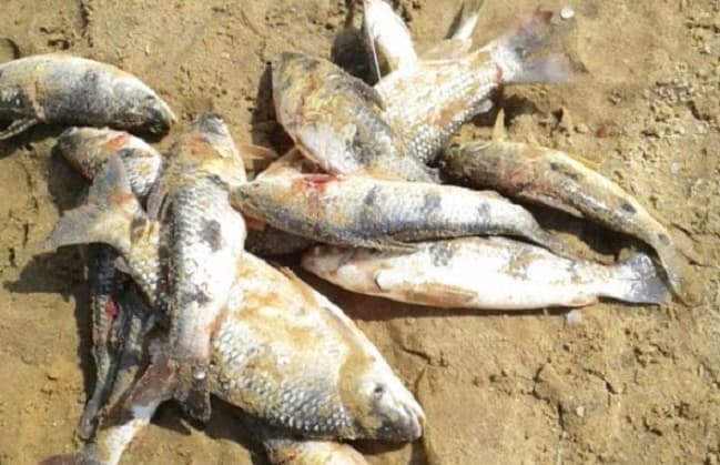 Alarma en aguas del rio Tebicuarymi