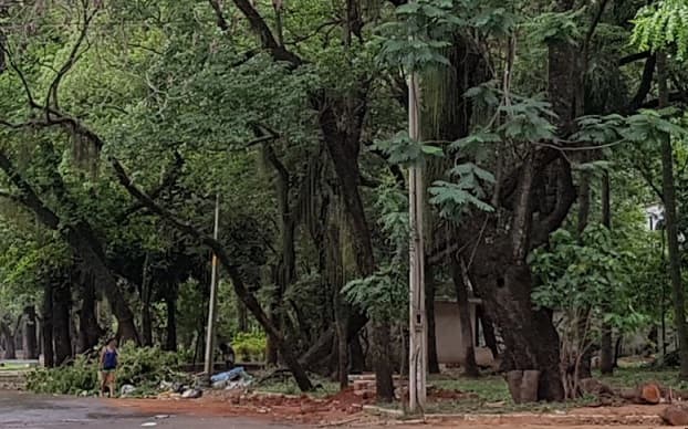 Parque Caballero, “secuestrado” por adictos