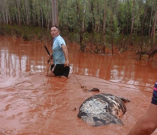 Temporal deja serios daños en el sur del país