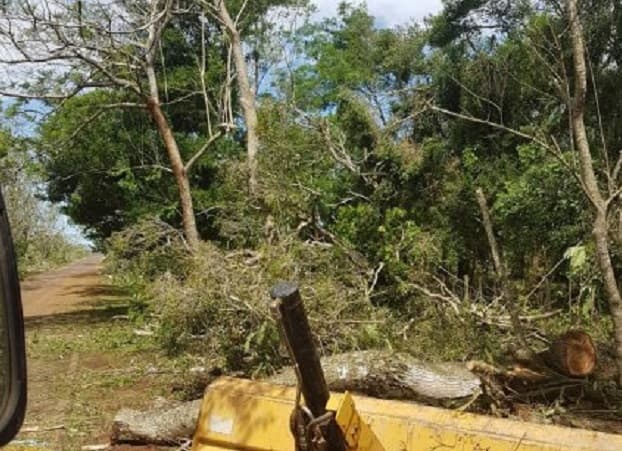 Túnel verde de Santa Elena fue devastado por el temporal