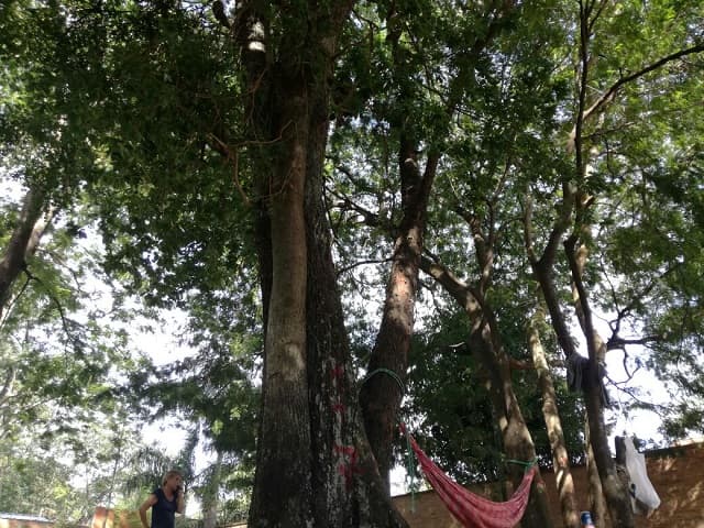 Parque Pavetti: Vecinos pasarán la noche en el predio