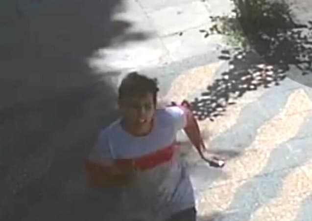 Cámara captó el rostro de asaltante que agredió a mujer