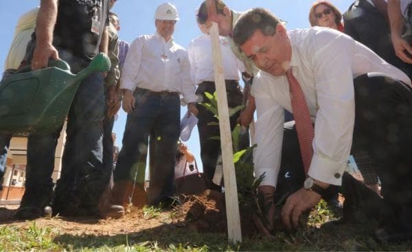 Planta un árbol pero permite deforestar hectáreas