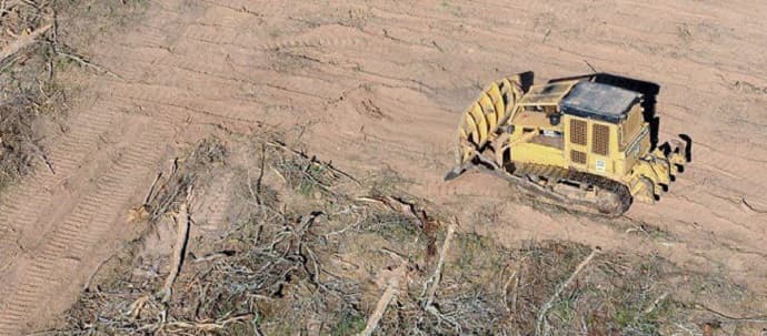 Presentan acción judicial contra decreto de Cartes