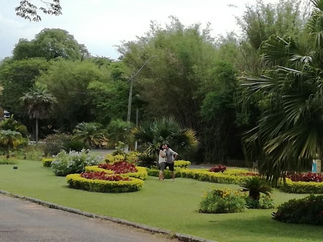 Anuncian jornada sabatina inestable