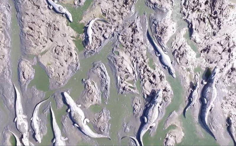 Recolectan fondos para hacer el trabajo del MOPC