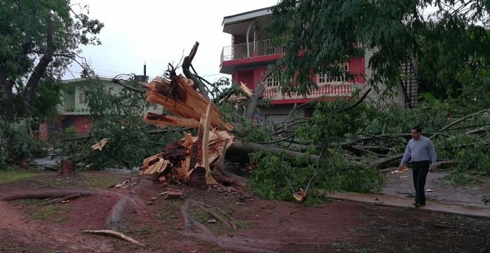Temporal causa innumerables daños en Alto Paraná