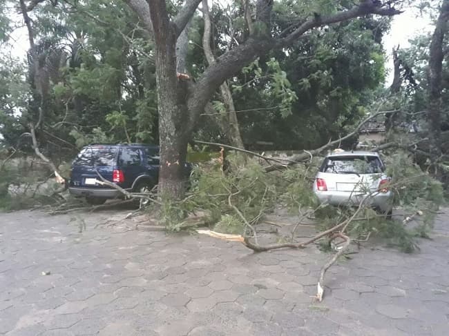 Temporal deja cuantiosos daños en varias zonas del país