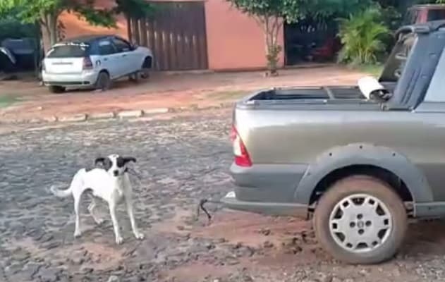 Imputan a mujeres que arrastraron y mataron a un perro