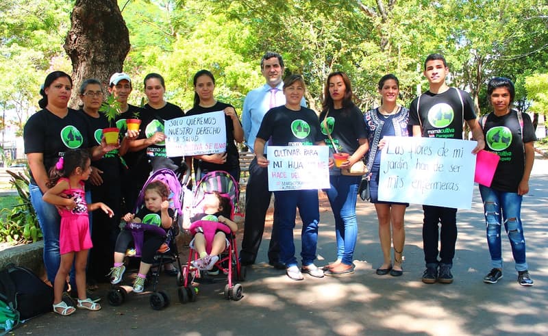 Presentan amparo para cultivar cannabis