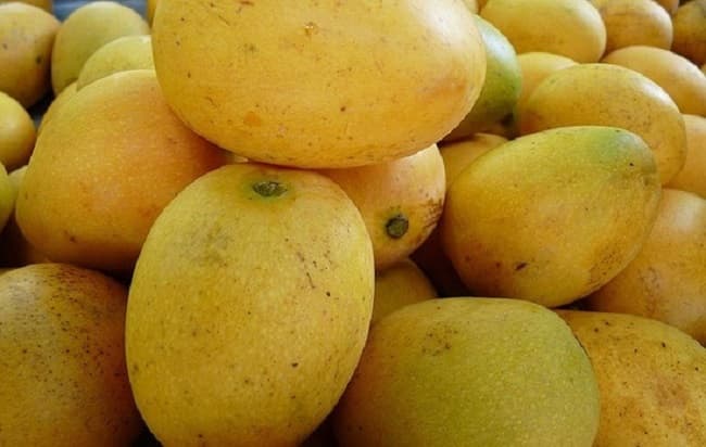 Exportarán mangos paraguayos a Europa